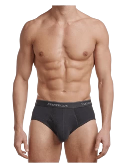 Stanfields Men's Premium Modern Fit Brief - 2 Pack