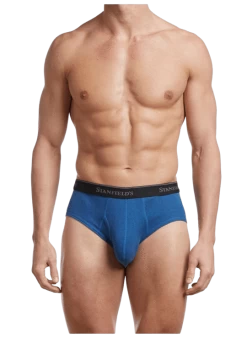 Stanfields Men's Premium Modern Fit Brief - 2 Pack -Fashionable Men'S Clothing Store 2511 yale blue sw 540x 0b890abb 04a9 491e b2e6 3617b9876c75