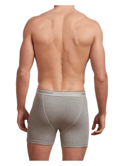 Stanfields Men's Premium Boxer Brief - 2 Pack -Fashionable Men'S Clothing Store 2516 grey heather back 720x b155f67b ec79 4f37 b2bb ebbb76552b47