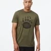 Tentree Bear Claw T-Shirt -Fashionable Men'S Clothing Store bearclaw green2