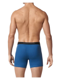 Stanfields Men's Premium Modern Fit Boxer Brief - 2 Pack -Fashionable Men'S Clothing Store boxer brief 2 pack premium cotton 2510 2510 yale blue back 540x d7f09531 3eb9 45bf 8087 0a1e6ff8cba0