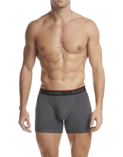Stanfields Men's Stretch Boxer Brief - 2 Pack -Fashionable Men'S Clothing Store mens stretch boxer brief 2 pack 2563 graphite front 540x 517e2a10 6674 4571 b56c 7f241ba8a221